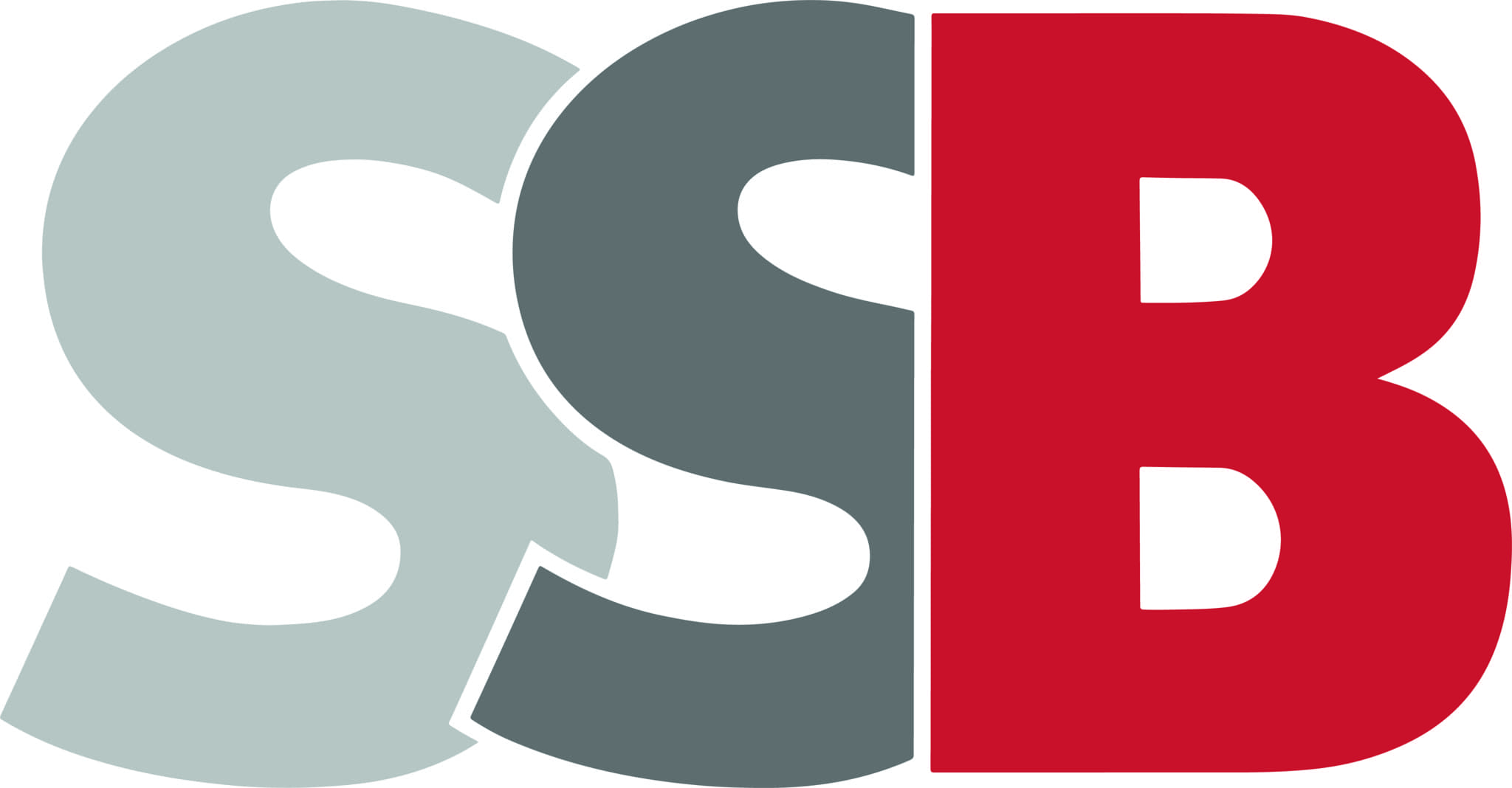 Bilder für Hersteller SSB Battery